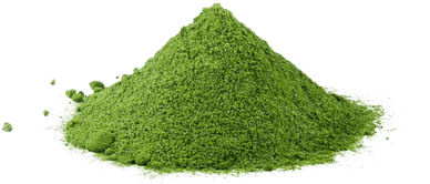Matcha Powder